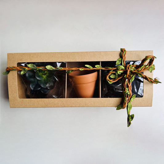 DIY Plant Box