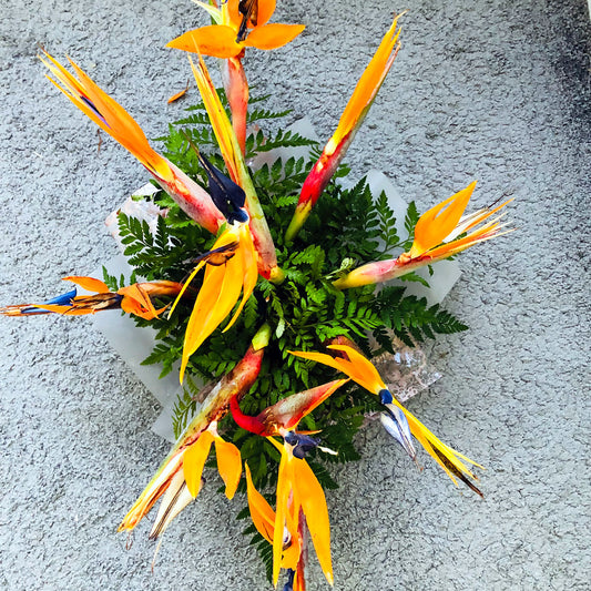 Bird of Paradise Arrangement