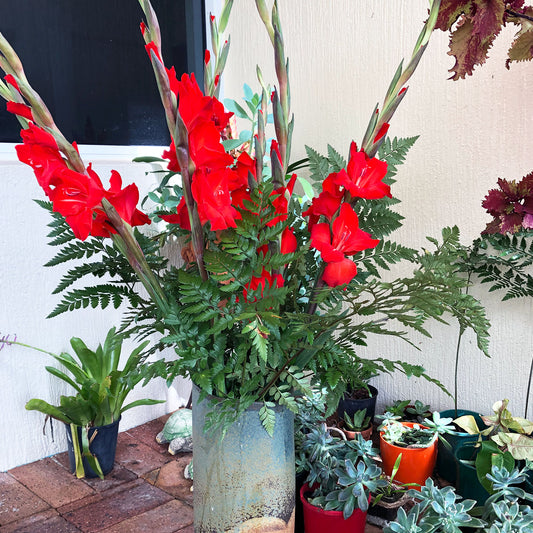 Red Flower & Fern Arrangement